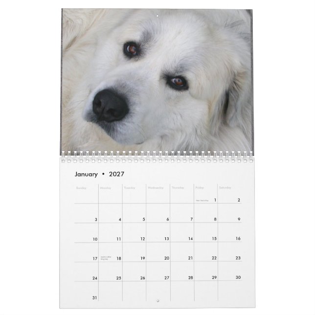 2015 große Pyrenäen-Kalender Kalender (Jan 2027)