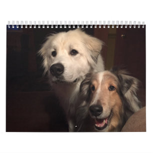 2015 große Pyrenäen-Kalender Kalender
