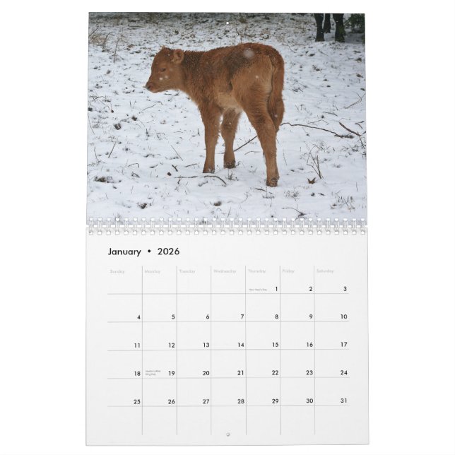 2015 Kälber Kalender (Jan 2026)