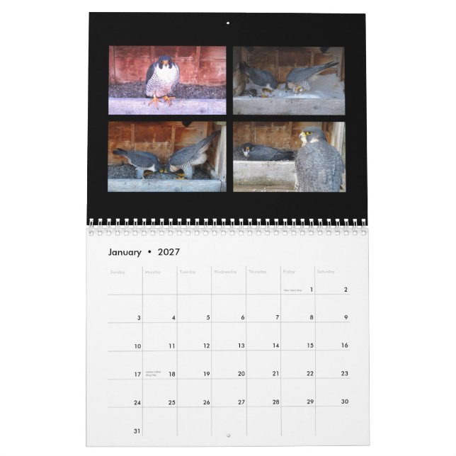 2015 Kalender - Hauptnocken-Collagen (Jan 2027)