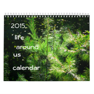 2015 Kalender: Leben um uns herum Kalender
