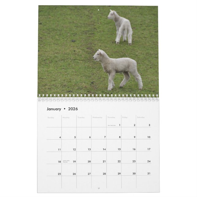 2015 moutons de calendrier de la Nouvelle Zélande (Jan 2026)