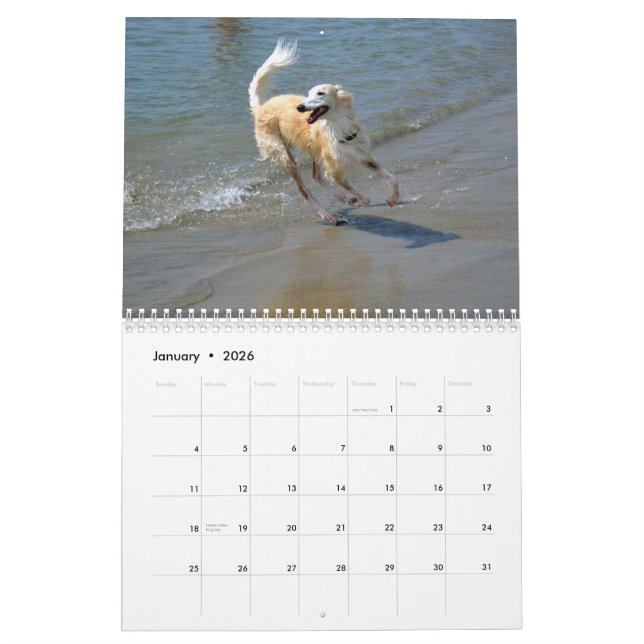 2015 seidenes Windhounds in der Aktion Kalender (Jan 2026)