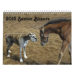 2015 Senior-Boxer-Kalender Kalender