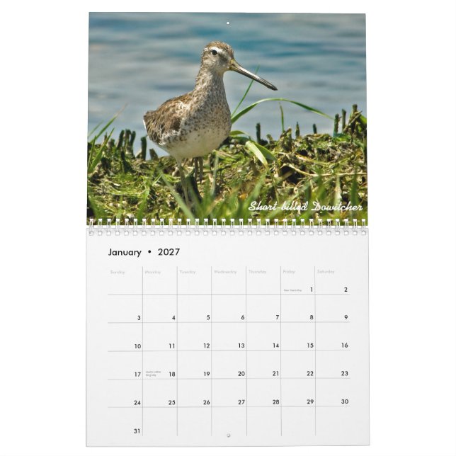 2015 Shorebirds-Kalender Kalender (Jan 2027)