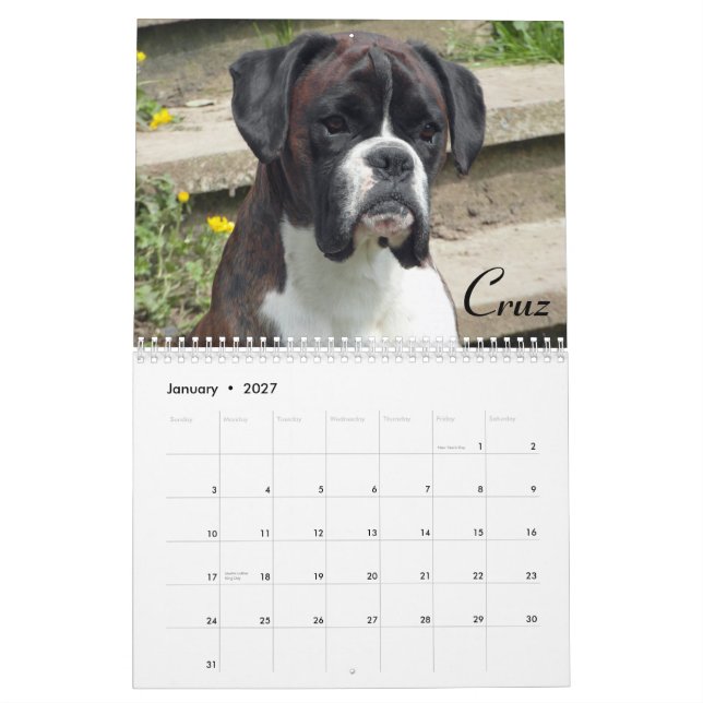 2015 Show-Boxer-Kalender Kalender (Jan 2027)