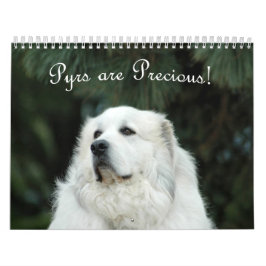 2016 große Pyrenäen-Kalender Kalender