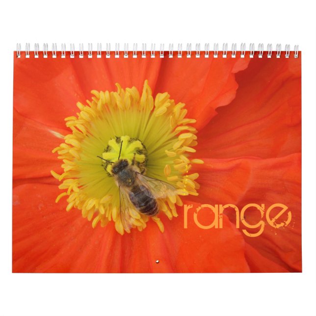 2016 in Farben - Kalender (Titelbild)