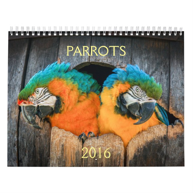 2016 Kalender der Papageien, Macaw, Amazonas, (Titelbild)
