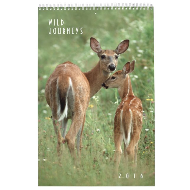 2016 Mauerkalender für Wildtiere - Naturfotografie Kalender (Titelbild)
