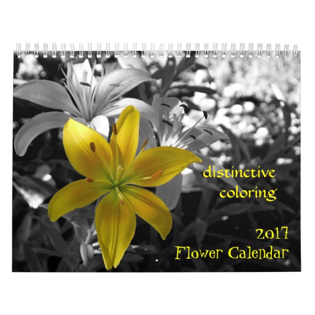 2017 Blumenkalender Kalender (Titelbild)