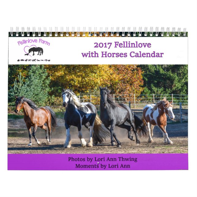 2017 Fellinlove mit Pferdekalender Kalender (Titelbild)