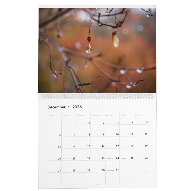 2017 Kalender, Fotos durch Eric Johnson Kalender (Dez 2026)