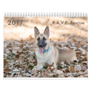 2017 R.A.V.E. Rettungs-Kalender Kalender