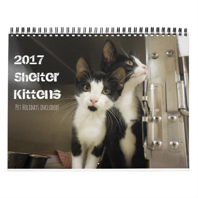 2017 Shelter Kittens Kalender (Titelbild)