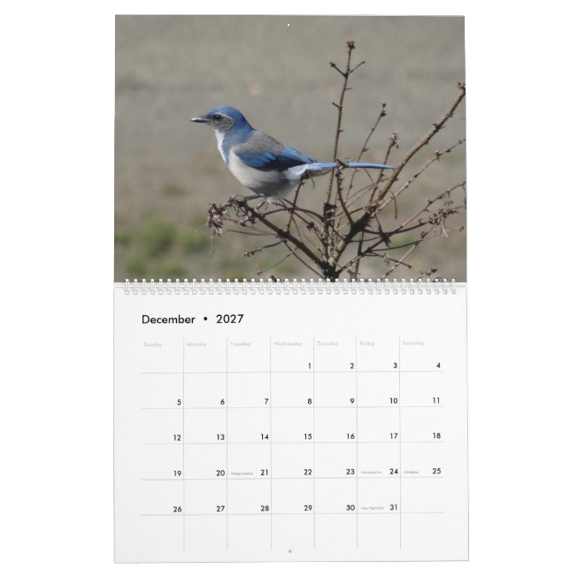 2017 Vögel Nordamerika Kalender (Dez 2027)