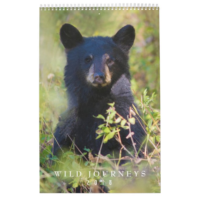 2018 calendrier mural de faune - photographie de (Protection)