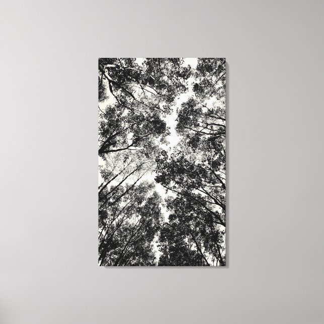 2018 durch die Bäume | SVP-Bilder Leinwanddruck (Vorderseite)