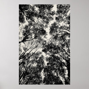 2018 durch die Bäume   SVP-Bilder Poster