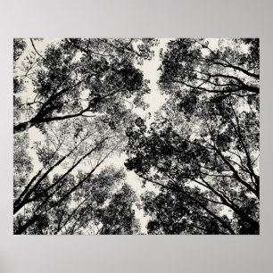 2018 durch die Bäume   SVP-Bilder Poster