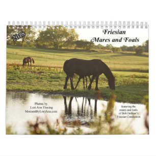 2018 friesische Stuten-und Fohlen-Kalender Kalender