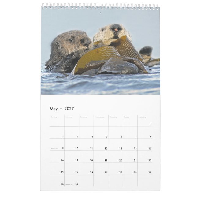 2018 Mauer-Kalender - ins Wilde Kalender (Mai 2027)