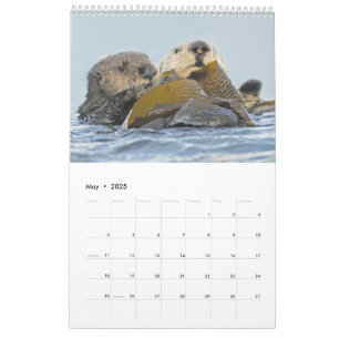 2018 Mauer-Kalender - ins Wilde Kalender