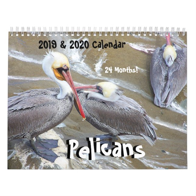 2019 2020 Pelikan-Vogel-Tier-Tier-Kalender Kalender (Titelbild)