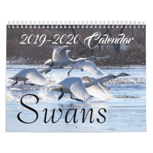 2019 2020 Schwan-Vogel-Tier-Tier-Schutz Kalender