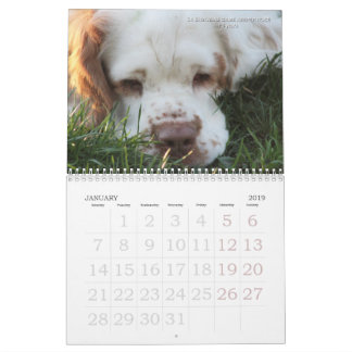2019 calendrier d'Erinveine - épagneuls de Clumber