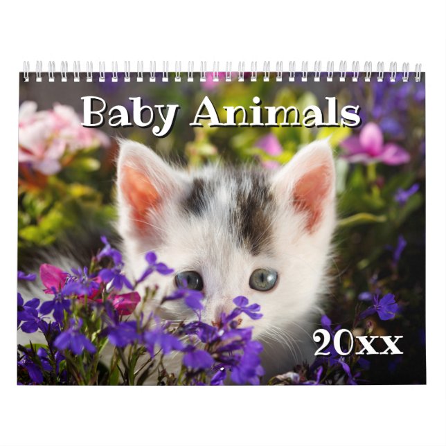 2019 entzückende Baby-Tiere Kalender (Titelbild)