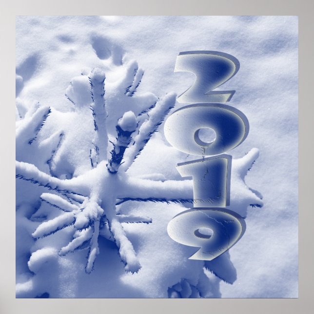2019 im neuen Schnee Poster (Vorne)