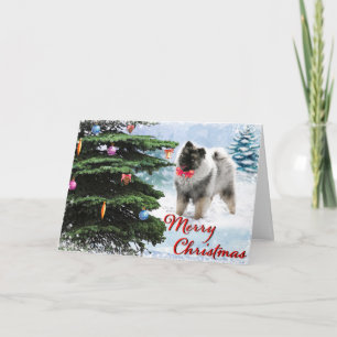 2019 Keeshond‑Sammler‑Weihnachtskarte Karte