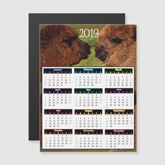 2019 lustige Alpaka-Minikalender Magneteinladung (Vorne/Hinten)