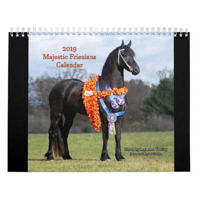 2019 majestätischer Rind-Kalender Kalender (Titelbild)