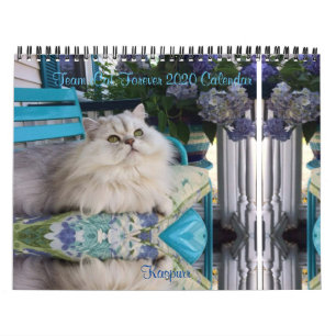 2019 Team iCat tragen für immer ein Kalender