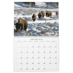 2019 US Public Lands Wildlife Calendar Kalender