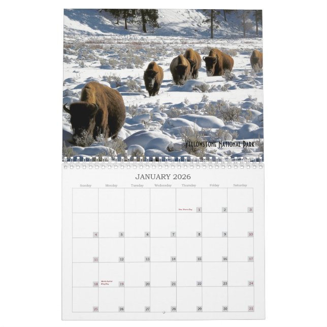 2019 US Public Lands Wildlife Calendar Kalender (Jan 2026)