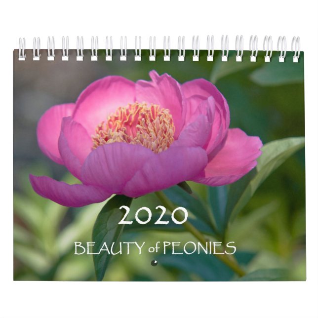 2020 Beauty of Peonies Kalender (Titelbild)