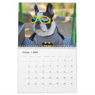 2020 Französischer Bulldog Kalender für Hundefreun