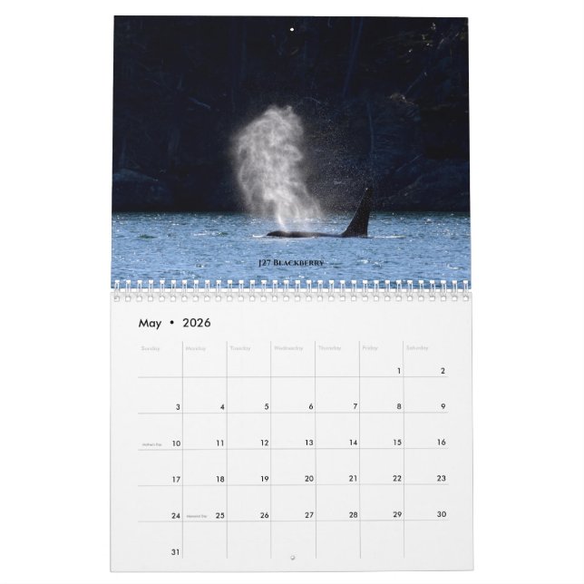 2020 Kalendar Southern Resident Killer Wale Kalender (Mai 2026)