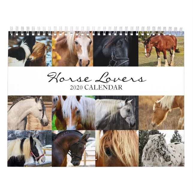 2020 Kalender für Pferdeliebhaber - Kalender für T (Titelbild)