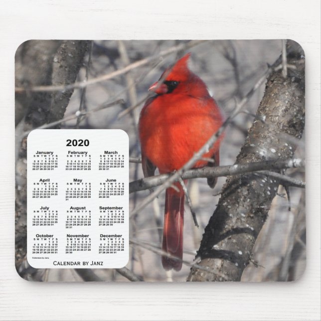 2020 Kardinal Bird Calendar von Janz Mousepad (Vorne)