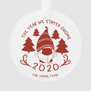 2020 L'Année Où Nous Sommes Restés Gnome Funny Cov