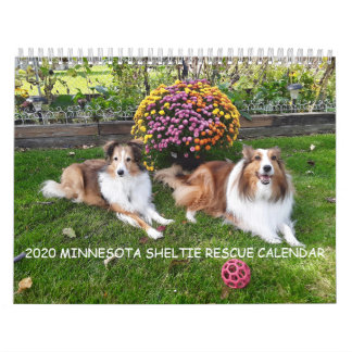 2020 MINNESOTA SHELTIE RESCUE CALENDAR KALENDER
