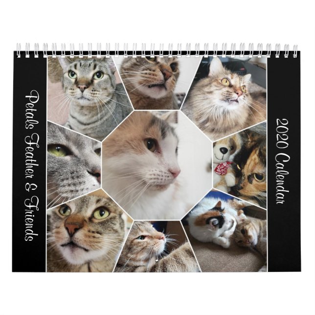 2020 Petals Feather & Friends Kalender (Titelbild)