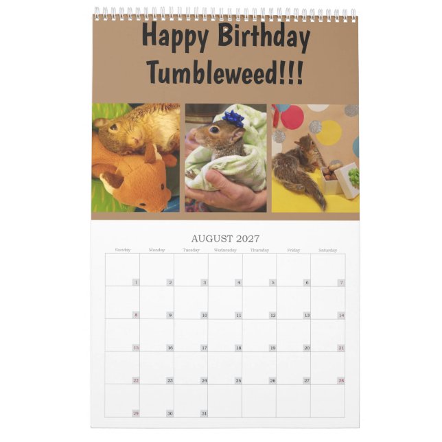 2020 Tumorkalender Kalender (Aug 2027)