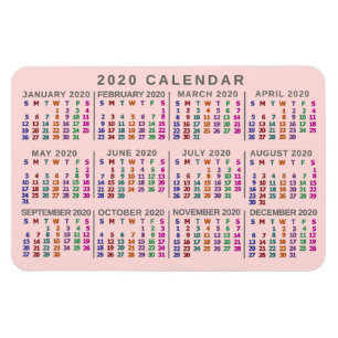 2020 Year Monthly Calendar Blush Pink Colorful Magnet