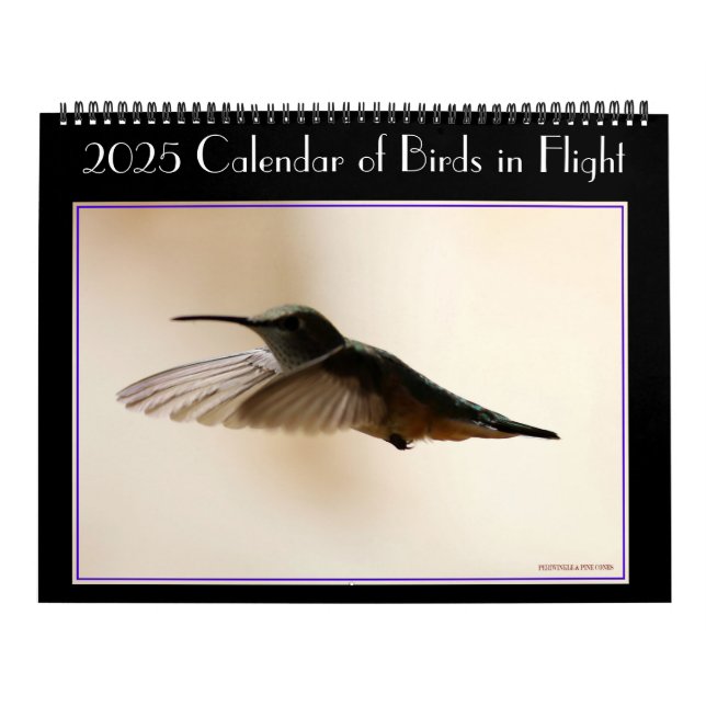2020 Zeitplan für Vögel im Flug Kalender (Titelbild)