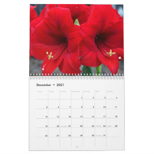 2021 - Calendrier des jardins de Lin